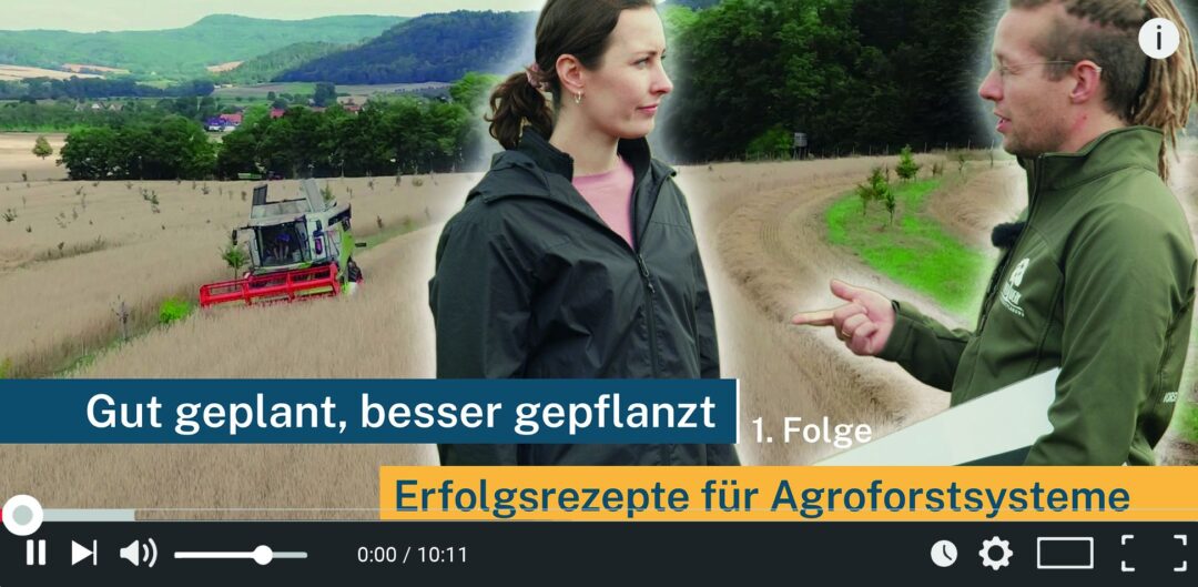 Agroforst Kompakt